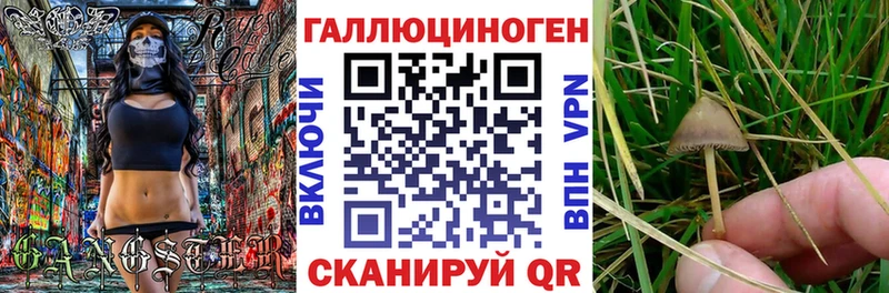 Псилоцибиновые грибы GOLDEN TEACHER  Ульяновск 