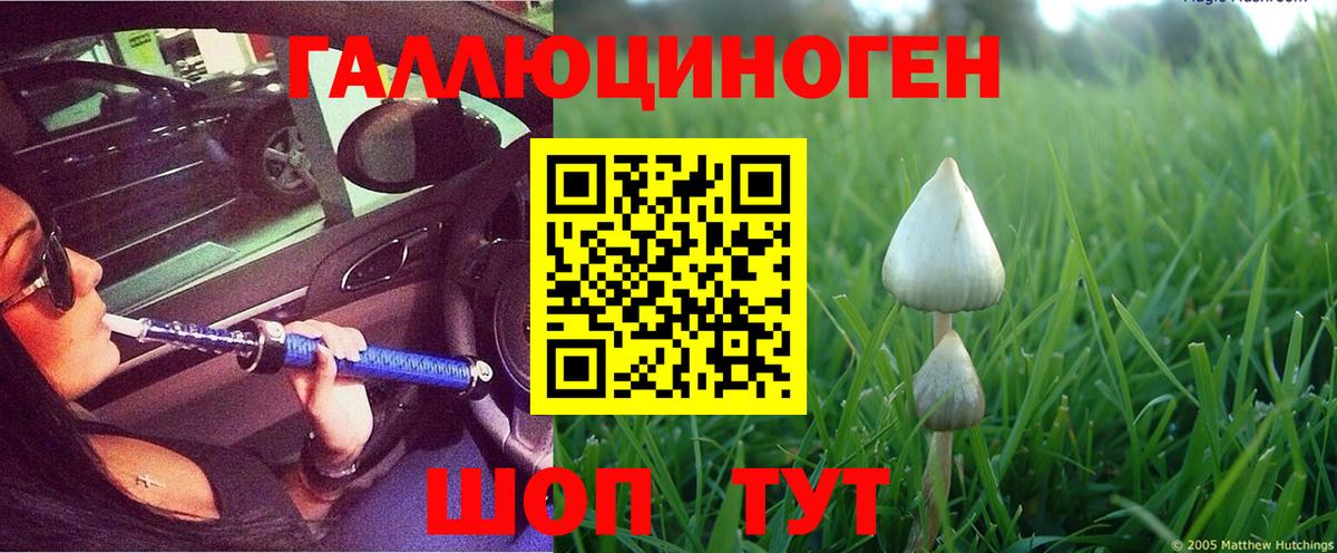 Псилоцибиновые грибы мицелий  Ульяновск 