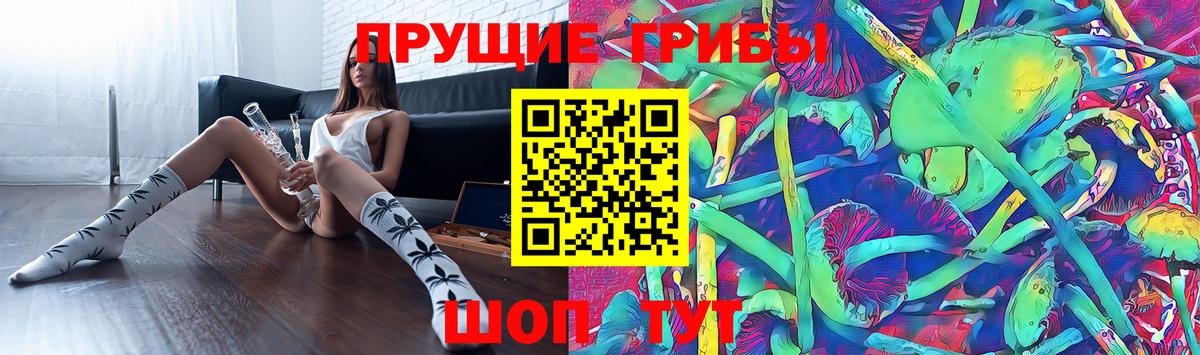 Псилоцибиновые грибы прущие грибы Ульяновск