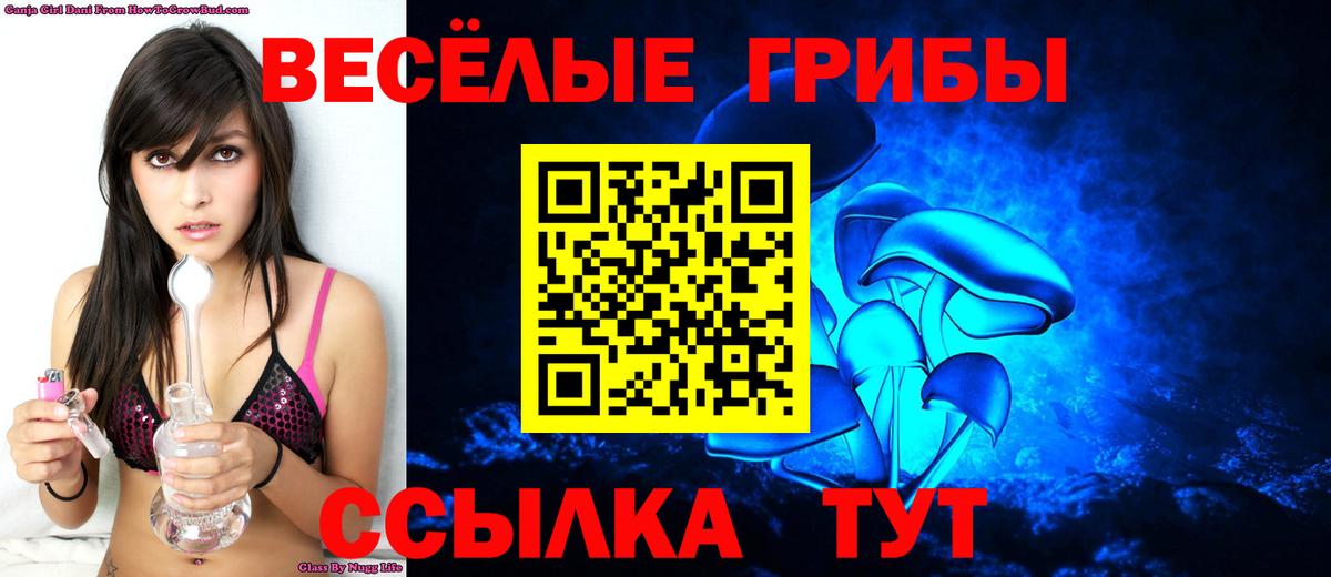 Псилоцибиновые грибы прущие грибы  Вход с VPN  купить наркотик  Ульяновск 