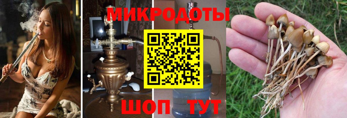 Галлюциногенные грибы MAGIC MUSHROOMS Ульяновск